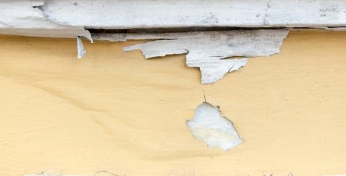 Five Signs the Wood Behind Your Gutters Is Rotting