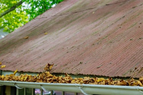 When to Clean Your Gutters in the Triangle