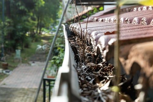 Gutter Cleaning / Limpieza de Canaletas