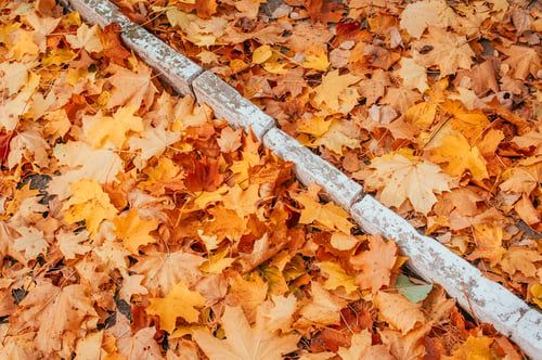 Gutter Guard Installation / Protectores de Canaletas